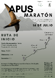 APUS MARATÓN